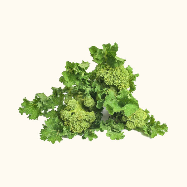 Broccoletti