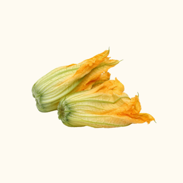 Fiore di zucca