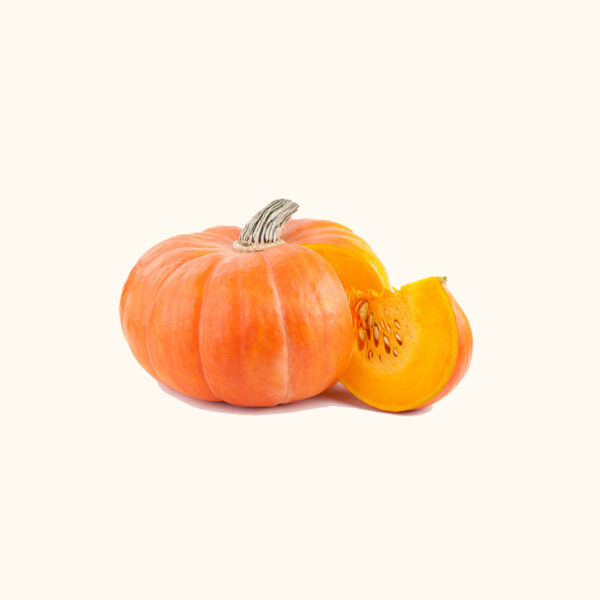 Zucca Classica