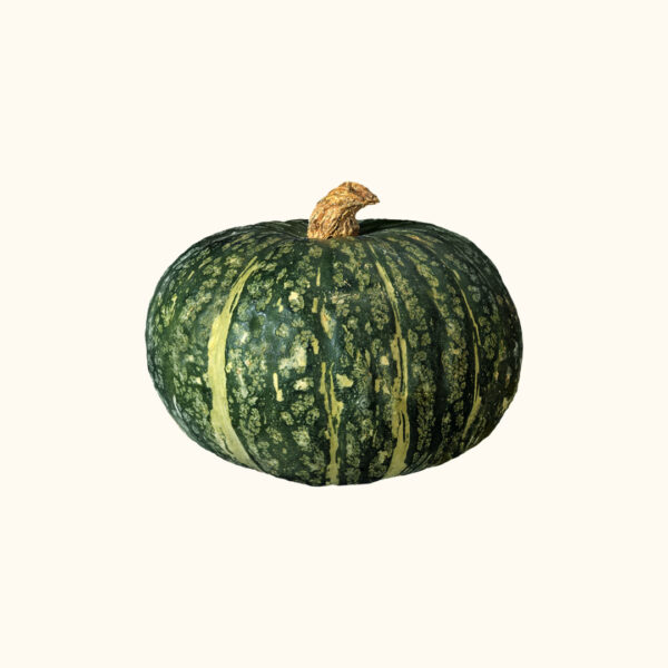 Zucca Mantovana